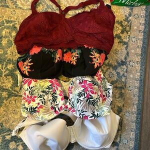 Cacique Women's Bra Set - Burgundy, Black, White